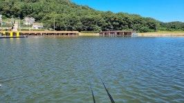 유료터정보 > 유료터조행기 > 벌써 가을