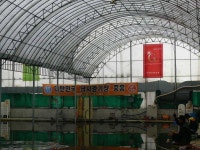 유료터정보 > 유료터조행기 > 중흥하우스의 겨울이야기