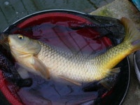 유료터정보 > 유료터조행기 > 중흥하우스의 겨울이야기