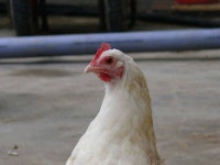 유료터정보 > 유료터조행기 > 중흥하우스의 겨울이야기