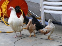 유료터정보 > 유료터조행기 > 중흥하우스의 겨울이야기