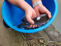 유료터정보 > 유료터조행기 > 여주 관관농원 낚시터 낚시 여행