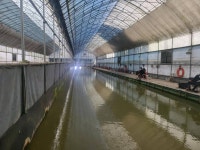 유료터정보 > 유료터조행기 > 블랙베어의 유료터 조행기 - 고양 백용 하우스 낚시터