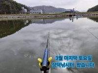 유료터정보 > 유료터조행기 > 3월 마지막 토요일 낚시 유료터정보 > 유료터조행기 > 3월 마지막 토요일 낚시 