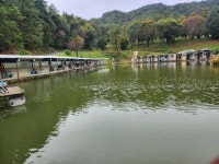 유료터정보 > 유료터조행기 > 여주 관관농원 낚시터 낚시 여행