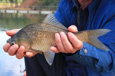 유료터정보 > 유료터조행기 > 층 찾는 재미!