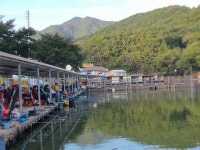 유료터정보 > 유료터조행기 > 미국 출장전 동교낚시터 조행기