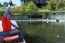 유료터정보 > 유료터조행기 > 4짜가 줄줄이 - 동암낚시터