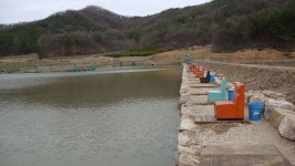 유료터정보 > 유료터조행기 > 청주 근거리 황청낚시터를 다녀와서.....