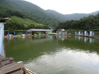 유료터정보 > 유료터조행기 > 8/16일 신방리두메낚시터 조행기