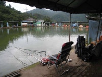 유료터정보 > 유료터조행기 > 8/16일 신방리두메낚시터 조행기