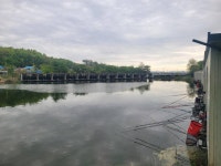 유료터정보 > 유료터조행기 > 붕슐랭가이드 | 경기 화성 당골낚시터 – 10m 강풍 속에서도 평온을 찾을 수 있는 곳