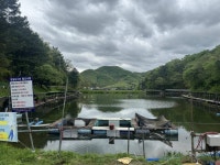 유료터정보 > 유료터조행기 > 작은 계곡지 한일낚시터