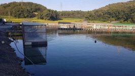 유료터정보 > 유료터조행기 > 신촌낚시터 첫 출조