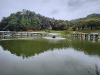 유료터정보 > 유료터조행기 > 여주 관관농원 낚시터 낚시 여행
