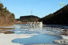 유료터정보 > 유료터조행기 > 덕송지 풍차낚시터
