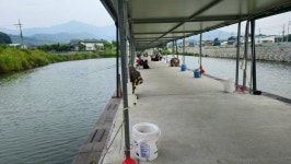 유료터정보 > 유료터조행기 > 직두리 낚시터 조행기