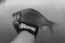 유료터정보 > 유료터조행기 > 층 찾는 재미!