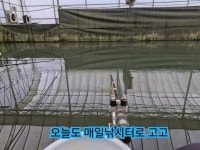 유료터정보 > 유료터조행기 > 오늘도 매일낚시터로 고고 유료터정보 > 유료터조행기 > 오늘도 매일낚시터로 고고 