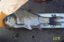 유료터정보 > 유료터조행기 > 층 찾는 재미!