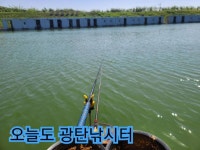 유료터정보 > 유료터조행기 > 광탄낚시터 어제조황 유료터정보 > 유료터조행기 > 광탄낚시터 어제조황 