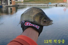 유료터정보 > 유료터조행기 > 층 찾는 재미!