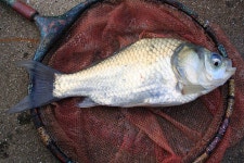 유료터정보 > 유료터조행기 > 층 찾는 재미!