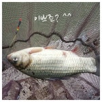 유료터정보 > 유료터조행기 > 4.11일 경주 동산낚시터