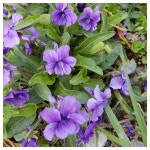 유료터정보 > 유료터조행기 > 4.11일 경주 동산낚시터
