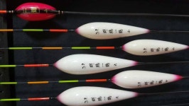 유료터정보 > 유료터조행기 > 장자원 낚시터