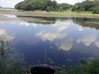 유료터정보 > 유료터조행기 > 화성 덕곡지