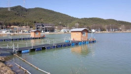 유료터정보 > 유료터조행기 > 인동 사각낚시터에서~ 찐한 손맛