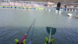 유료터정보 > 유료터조행기 > 인동 사각낚시터에서~ 찐한 손맛