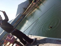 유료터정보 > 유료터조행기 > 청도 매전 낚시터 오늘두 출근 도장ㅋ