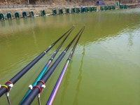 유료터정보 > 유료터조행기 > 토욜 낙산에서...