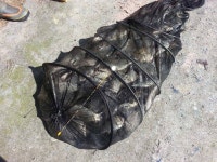 유료터정보 > 유료터조행기 > 경주 동산낚시터~전자탑의 독주