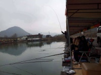 유료터정보 > 유료터조행기 > 매전 낚시터 낚시하고 왔습니다