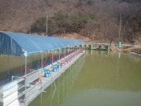 유료터정보 > 유료터조행기 > 낙산낚시터 잠시 댕겨왓읍니다...........
