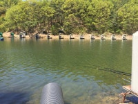 유료터정보 > 유료터조행기 > 오산나그네의 천평낚시터 조행기