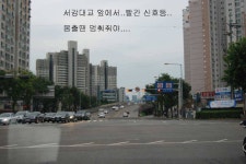 유료터정보 > 유료터조행기 > 북동낚시터에서 밤낚시