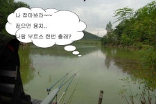 유료터정보 > 유료터조행기 > 북동낚시터에서 밤낚시