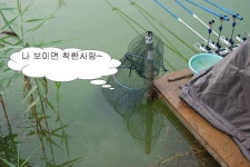 유료터정보 > 유료터조행기 > 북동낚시터에서 밤낚시