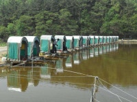 대박입니다..... 띄밭 낚시터 ★★★★★ 유료터정보 > 유료터조행기 > ★★★★★  대박입니다..... 띄밭 낚시터 ★★★★★