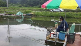 유료터정보 > 유료터조행기 > 경주 동산낚시터에서 기록갱신