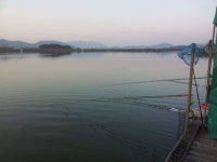 유료터정보 > 유료터조행기 > 용암낚시터(충북옥천군)