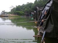 유료터정보 > 유료터조행기 > 가곡지 낚시터를 다녀오다