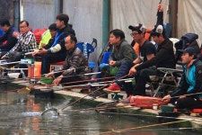 유료터정보 > 유료터조행기 > 정출하기 좋은 곳! - 명인낚시터(하우스)