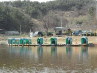 대박 ~~10,000 만냥의 성주 띄밭 손맛 낚시터 유료터정보 > 유료터조행기 > ♠♠♠  대박 ~~10,000 만냥의 성주 띄밭 손맛 낚시터