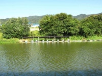 유료터정보 > 유료터조행기 > 진벌낚시농원다녀왔습니다.