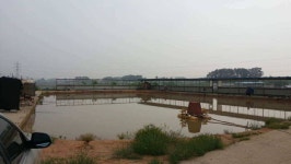 유료터정보 > 유료터조행기 > 다시 찾은 신성 낚시터.